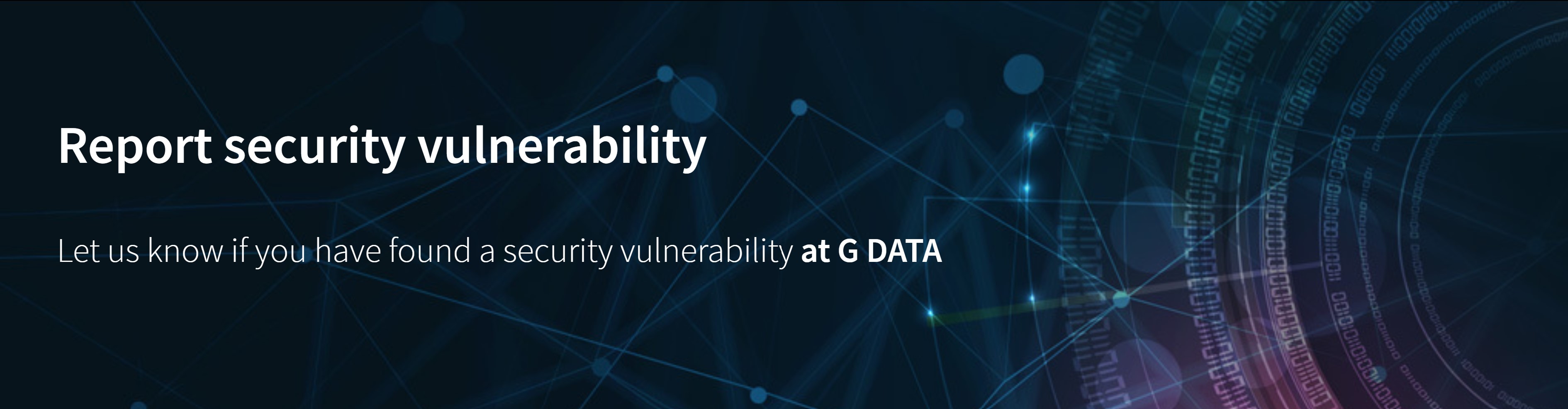 Banner Report Vulnerability